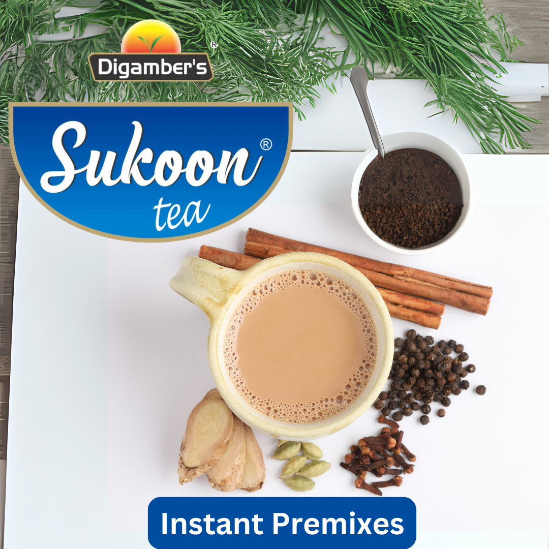 Digamber's Instant Premixes